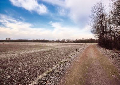 "tut gut" Wanderweg Grafenegg - Route 2: Den Kamp entlang