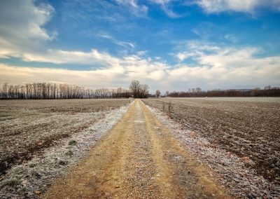 "tut gut" Wanderweg Grafenegg - Route 2: Den Kamp entlang