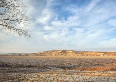 "tut gut" Wanderweg Grafenegg - Route 2: Den Kamp entlang