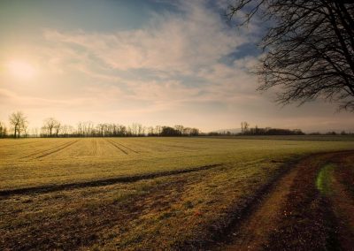 "tut gut" Wanderweg Grafenegg - Route 2: Den Kamp entlang