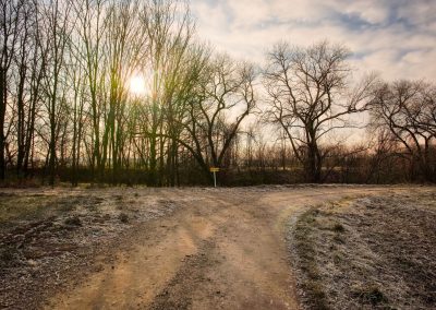 "tut gut" Wanderweg Grafenegg - Route 2: Den Kamp entlang