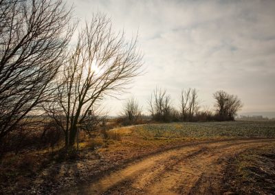 "tut gut" Wanderweg Grafenegg - Route 2: Den Kamp entlang