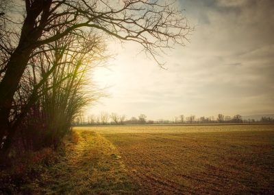 "tut gut" Wanderweg Grafenegg - Route 2: Den Kamp entlang