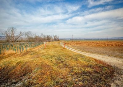 "tut gut" Wanderweg Grafenegg - Route 2: Den Kamp entlang