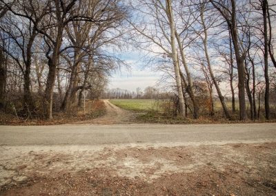 "tut gut" Wanderweg Grafenegg - Route 2: Den Kamp entlang