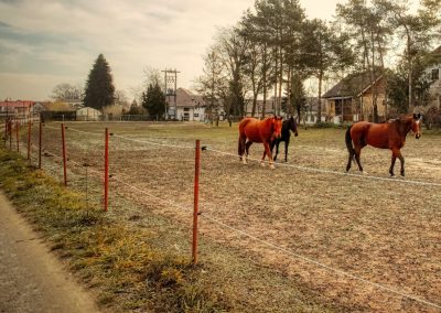 "tut gut" Wanderweg Grafenegg - Route 2: Den Kamp entlang