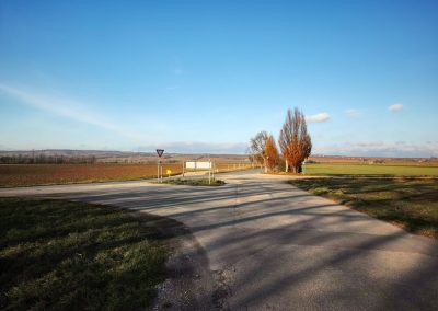 "tut gut" Wanderweg Fels am Wagram - Route 2: Über den Hammergraben zur Felser Warte