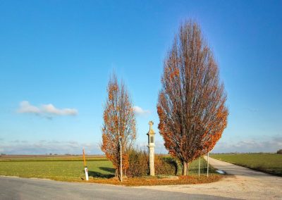 "tut gut" Wanderweg Fels am Wagram - Route 2: Über den Hammergraben zur Felser Warte