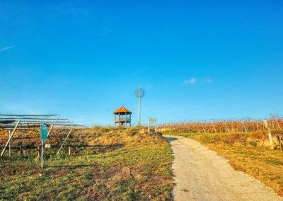 "tut gut" Wanderweg Fels am Wagram - Route 2: Über den Hammergraben zur Felser Warte