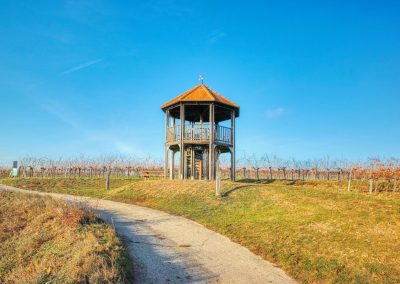 "tut gut" Wanderweg Fels am Wagram - Route 2: Über den Hammergraben zur Felser Warte