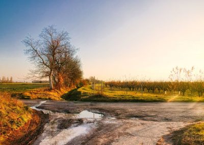 "tut gut" Wanderweg Fels am Wagram - Route 2: Über den Hammergraben zur Felser Warte