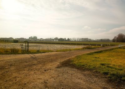 "tut gut" Wanderweg Grafenegg – Route 1: Den Mühlkamp entlang