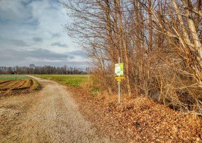 "tut gut" Wanderweg Grafenegg – Route 1: Den Mühlkamp entlang