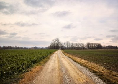 "tut gut" Wanderweg Grafenegg – Route 1: Den Mühlkamp entlang