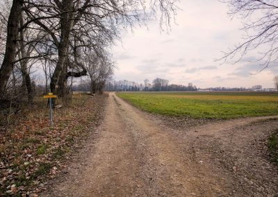 "tut gut" Wanderweg Grafenegg – Route 1: Den Mühlkamp entlang