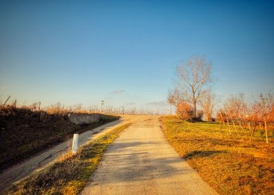 "tut gut" Wanderweg Rohrendorf - Route 1