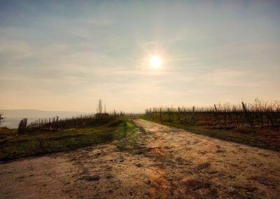 "tut gut" Wanderweg Rohrendorf - Route 1