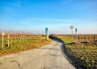 "tut gut" Wanderweg Rohrendorf - Route 1