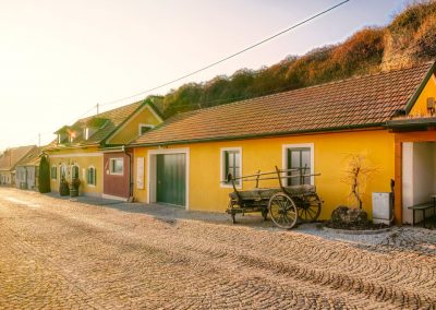 "tut gut" Wanderweg Rohrendorf - Route 1
