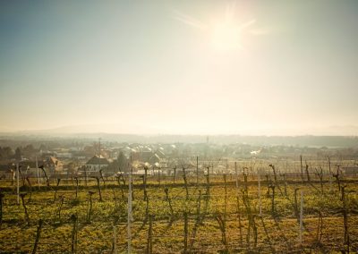 rohrendorf 05