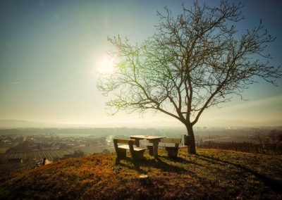 "tut gut" Wanderweg Rohrendorf - Route 2
