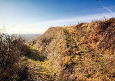"tut gut" Wanderweg Rohrendorf - Route 2