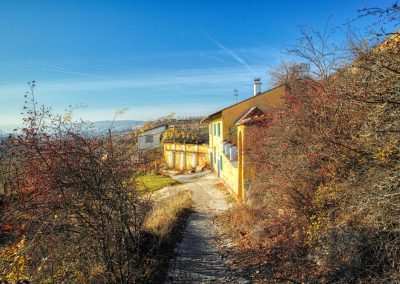 "tut gut" Wanderweg Rohrendorf - Route 2