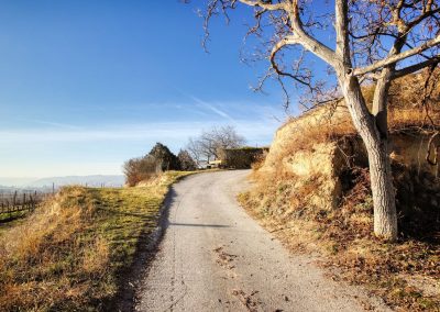 "tut gut" Wanderweg Rohrendorf - Route 2