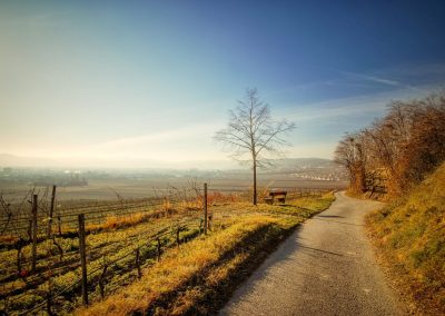 "tut gut" Wanderweg Rohrendorf - Route 2