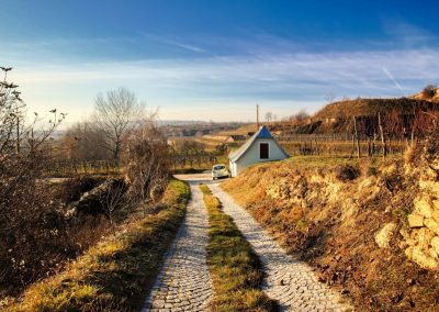 "tut gut" Wanderweg Rohrendorf - Route 2