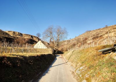 "tut gut" Wanderweg Rohrendorf - Route 2