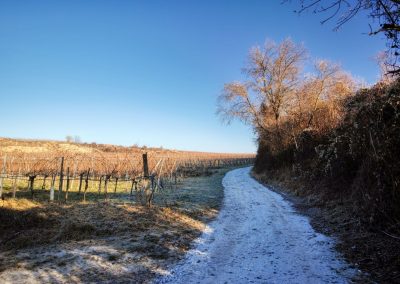 "tut gut" Wanderweg Rohrendorf - Route 2