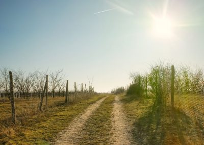 "tut gut" Wanderweg Rohrendorf - Route 2