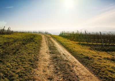 "tut gut" Wanderweg Rohrendorf - Route 2