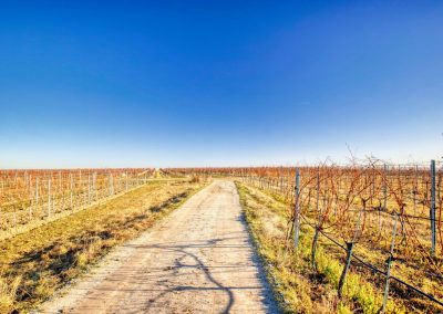 "tut gut" Wanderweg Rohrendorf - Route 2