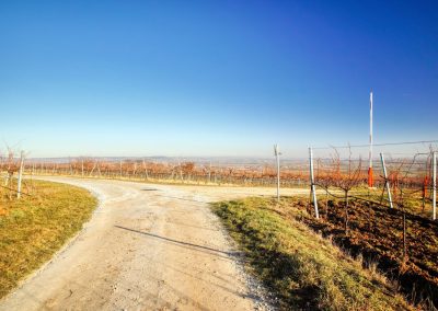"tut gut" Wanderweg Rohrendorf - Route 2