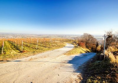 "tut gut" Wanderweg Rohrendorf - Route 2