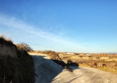 "tut gut" Wanderweg Rohrendorf - Route 2
