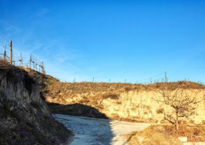 "tut gut" Wanderweg Rohrendorf - Route 2