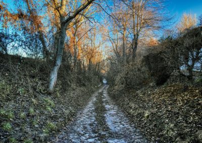 "tut gut" Wanderweg Rohrendorf - Route 2