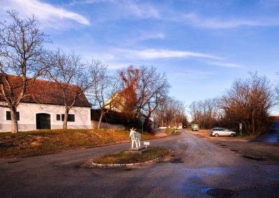 “tut gut” Wanderweg Grafenegg – Route 3: Durch die Weinberge zur Engabrunner Warte