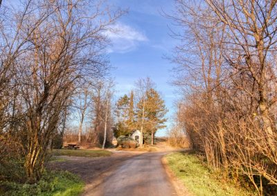 “tut gut” Wanderweg Grafenegg – Route 3: Durch die Weinberge zur Engabrunner Warte