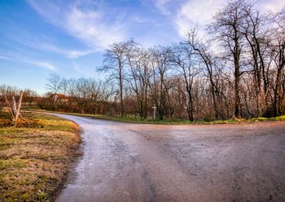 “tut gut” Wanderweg Grafenegg – Route 3: Durch die Weinberge zur Engabrunner Warte