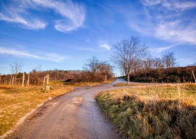 “tut gut” Wanderweg Grafenegg – Route 3: Durch die Weinberge zur Engabrunner Warte