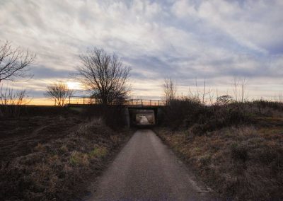 “tut gut” Wanderweg Grafenegg – Route 3: Durch die Weinberge zur Engabrunner Warte