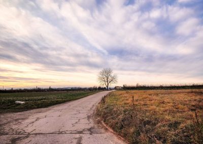 “tut gut” Wanderweg Grafenegg – Route 3: Durch die Weinberge zur Engabrunner Warte