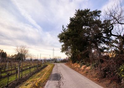 “tut gut” Wanderweg Grafenegg – Route 3: Durch die Weinberge zur Engabrunner Warte