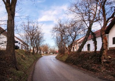 “tut gut” Wanderweg Grafenegg – Route 3: Durch die Weinberge zur Engabrunner Warte