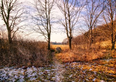 "Tut gut" Wanderweg Gerolding - Route 1: Kleiner Geroldinger Rundwanderweg "Vogel"
