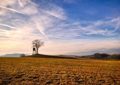 "Tut gut" Wanderweg Gerolding - Route 1: Kleiner Geroldinger Rundwanderweg "Vogel"